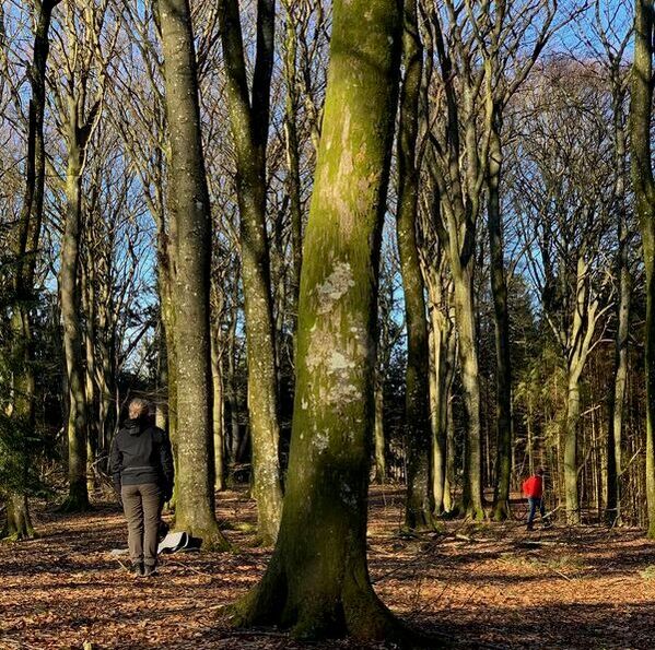 - Mental sundhed - Naturakademiet