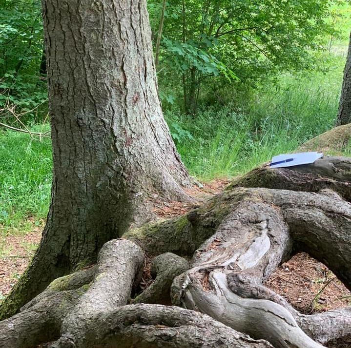 - Samarbejde - Naturakademiet