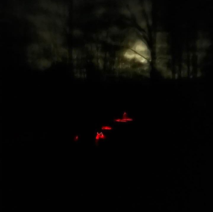 - Vintersolhverv - mørkevandring - Naturakademiet