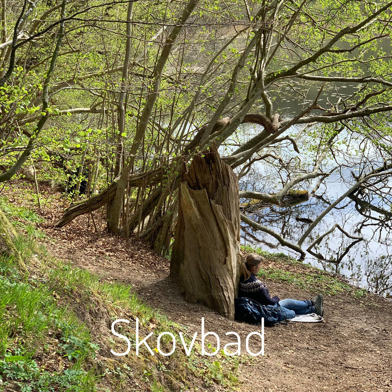 - Skoler og foreninger - Naturakademiet