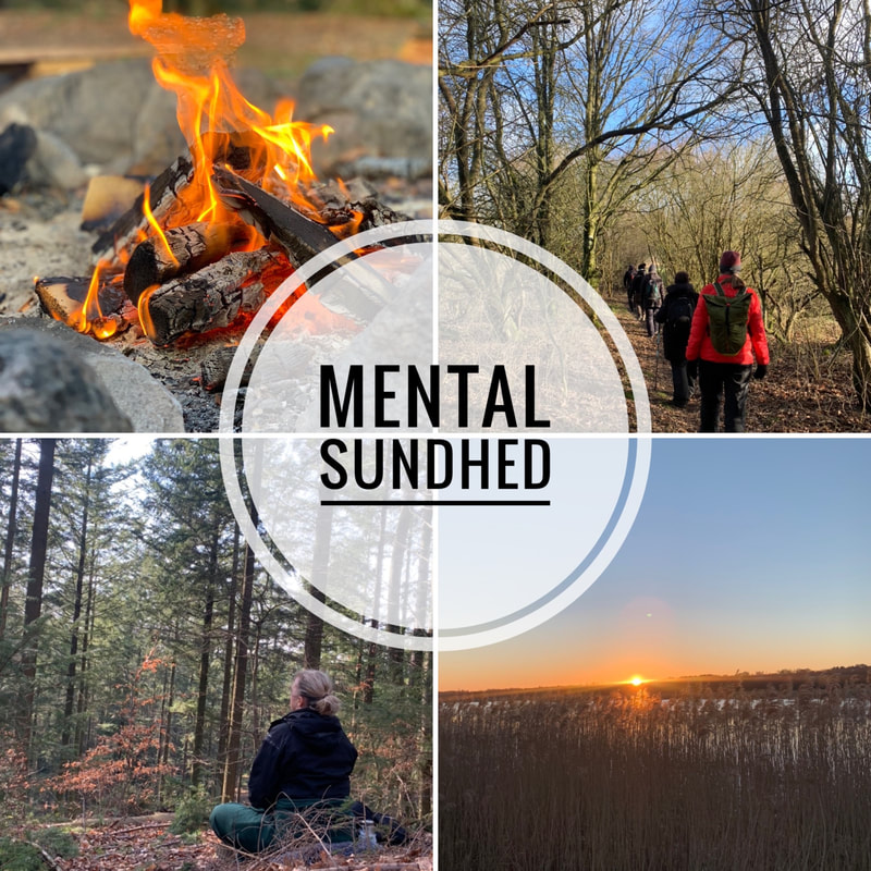 - Foredrag - Naturakademiet