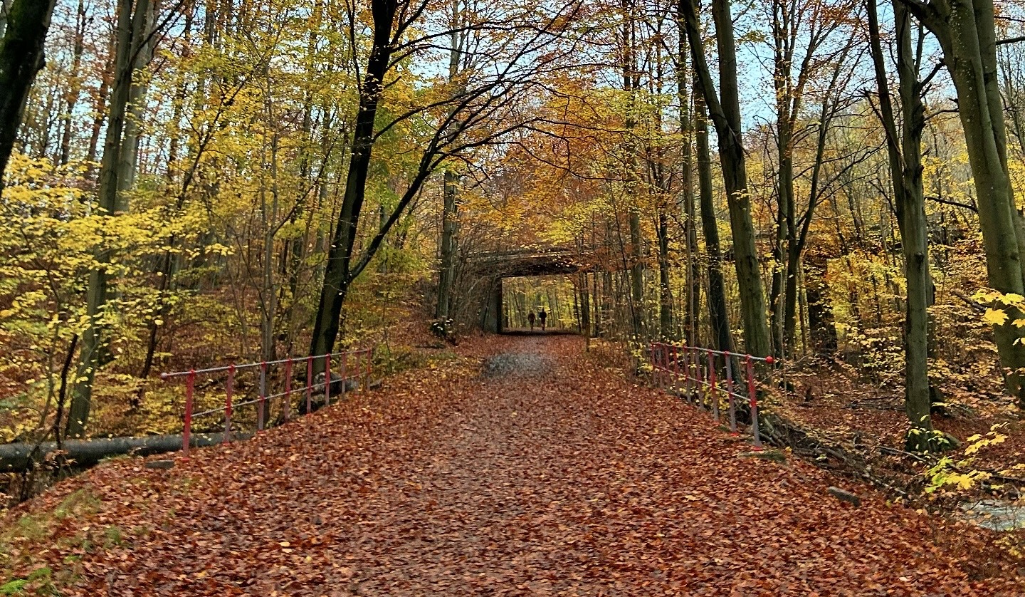 - Artikler - Naturakademiet