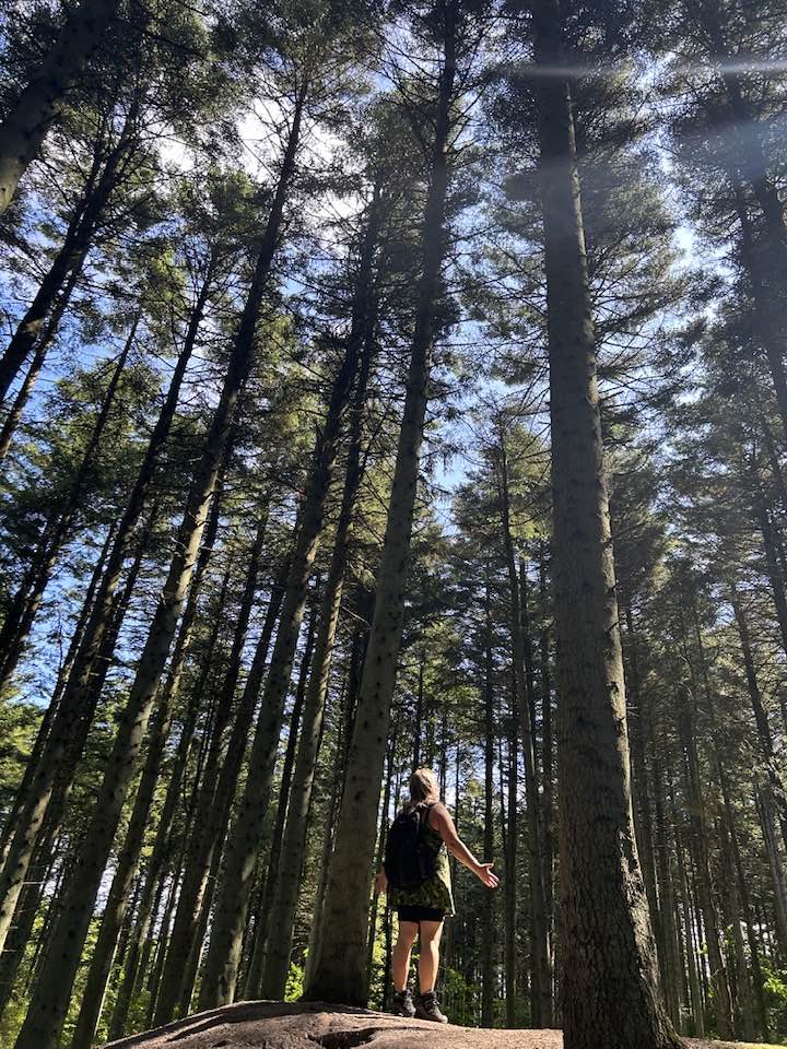 - Natur Uddannelse - Naturakademiet