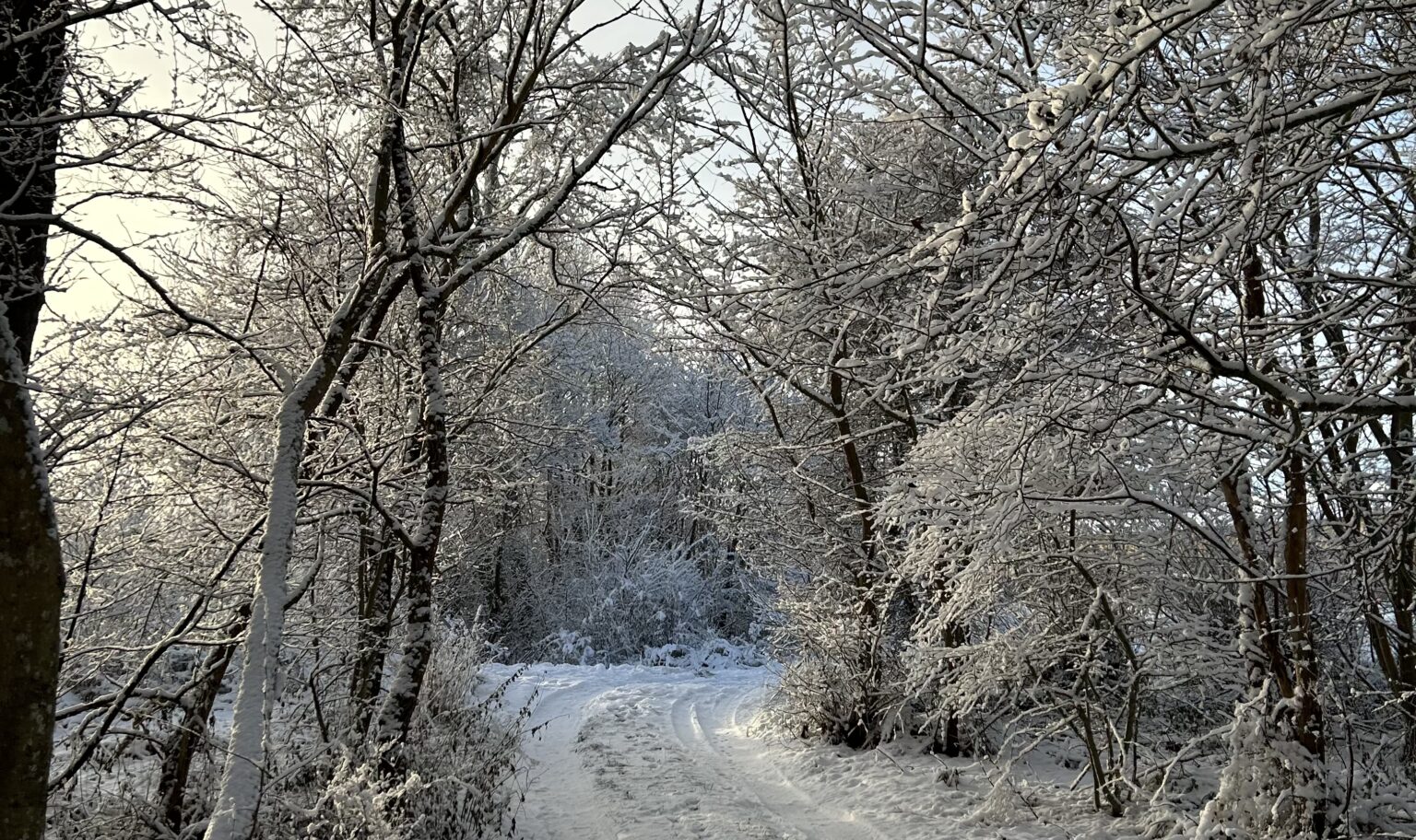 - Artikler - Naturakademiet