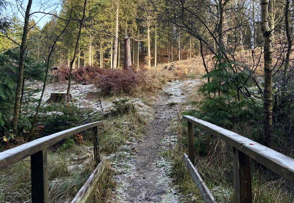 Frosten - Frosten slår ihjel - Naturakademiet