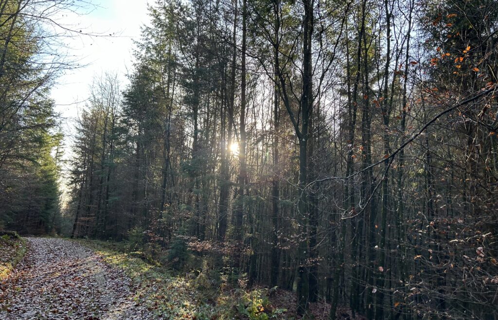 Frosten - Frosten slår ihjel - Naturakademiet