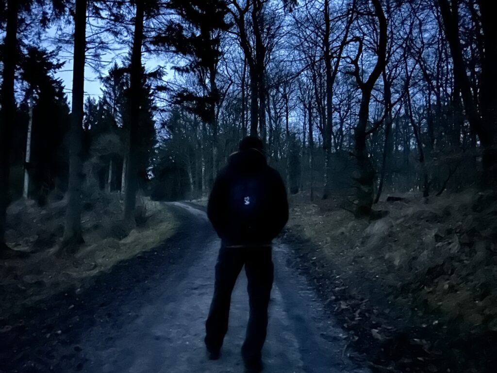 vinterdepression - Vinterens fald i energi - Naturakademiet