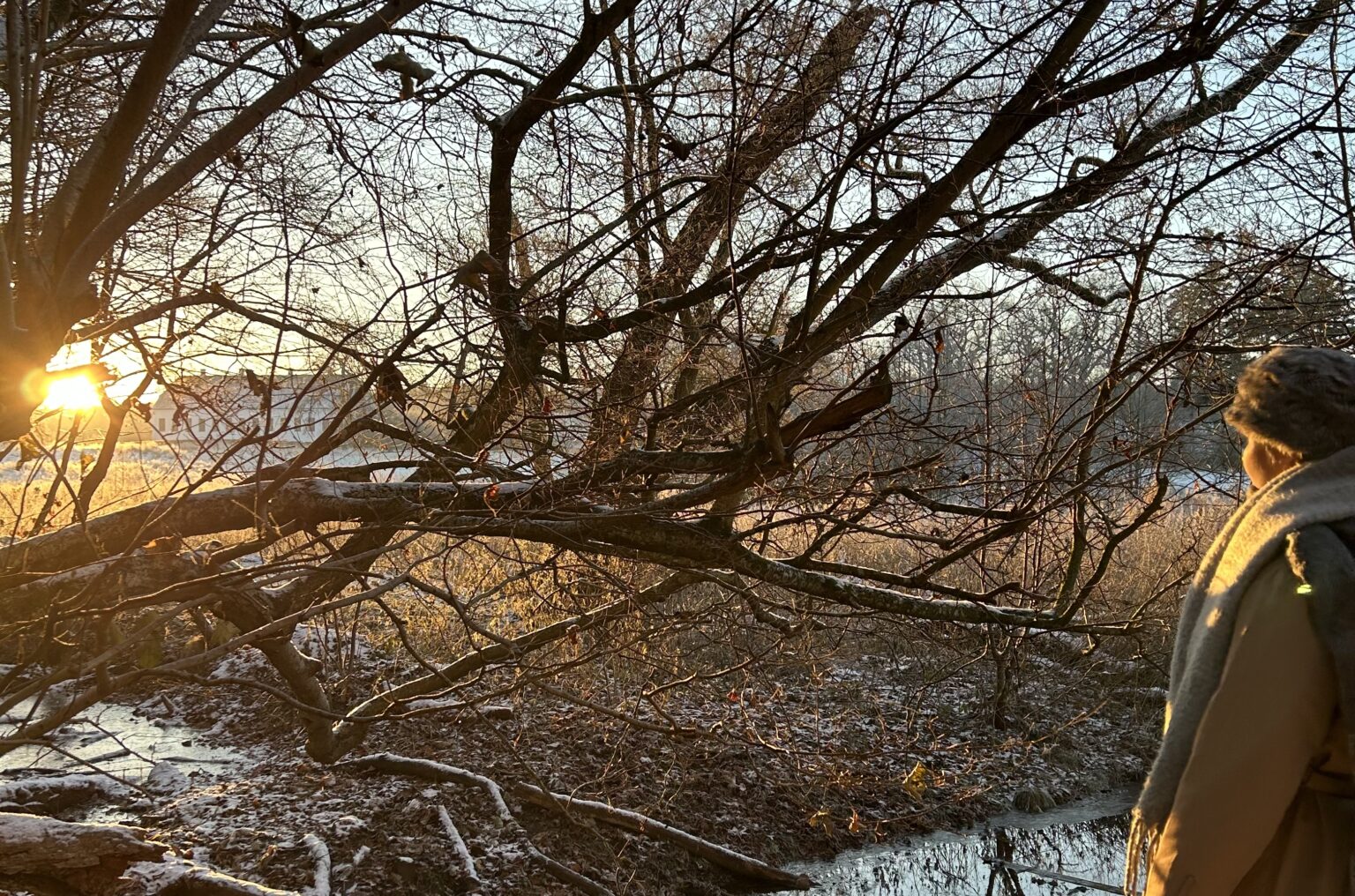 - Artikler - Naturakademiet