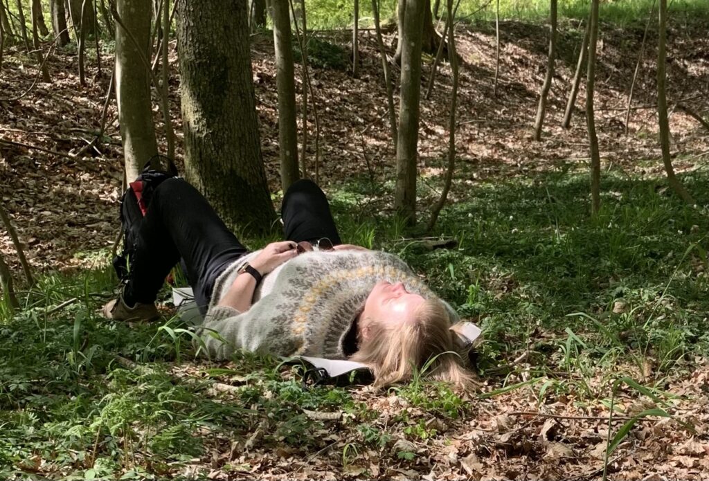 Sommerens ild - Når sommerens ild brænder stærkere, end du kan holde til. - Naturakademiet