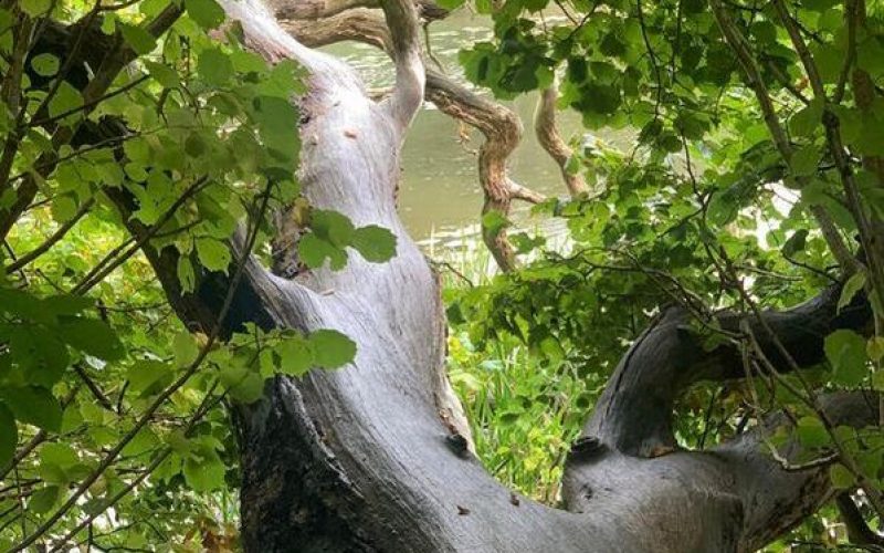 377678046-10230300300242221-6970264821002668514-n