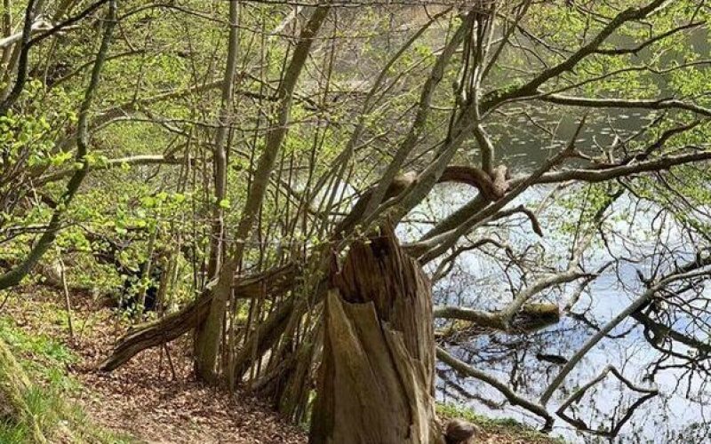 378379880-10230299571103993-6564403661354017796-n