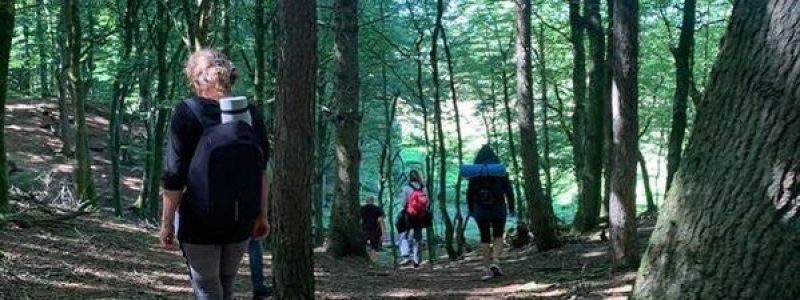 378386758-10230299565583855-6364484341599156919-n