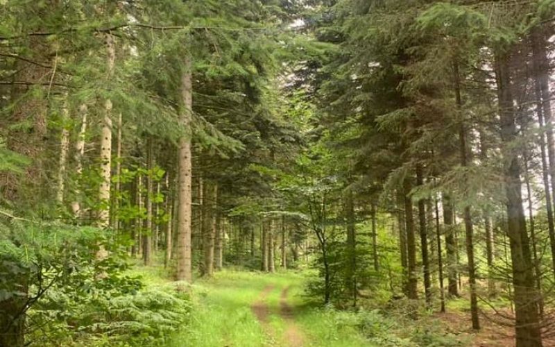 380892998-10230297812700034-7422184330401089006-n